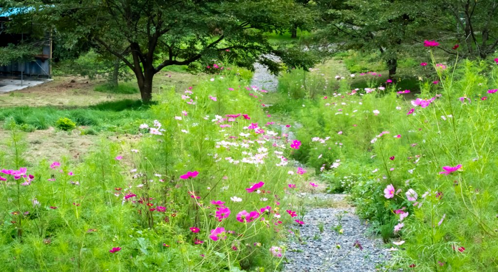 株式会社ヨシムラ　山公園