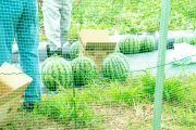 小さな？取り組みいろいろ