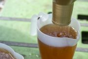 ハチミツ採集と畑と健康経営と
